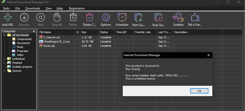 Internet Download Manager (IDM) - Trọn đời photo review